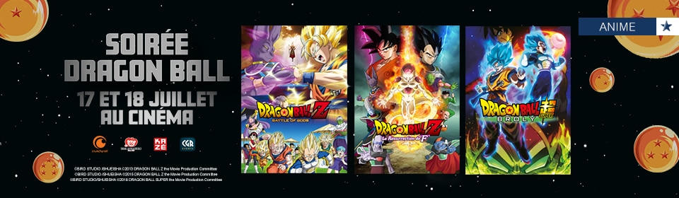 Soirée Dragon Ball