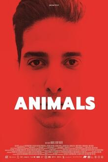 Cinema Storck: Animals
