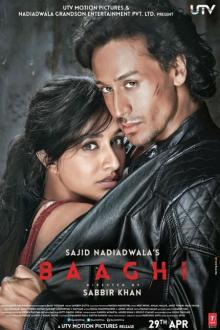 Baaghi: A Rebel for Love