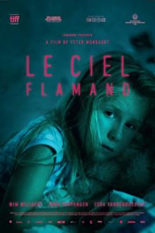 Le Ciel Flamand