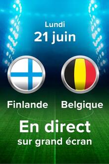 Football: Championnat EU 2020: Finlande - Belgique
