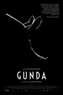 Cinema Storck: Gunda