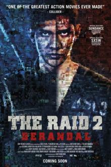 The Raid 2