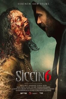 Siccin 6