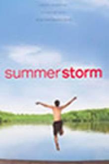 SUMMER STORM
