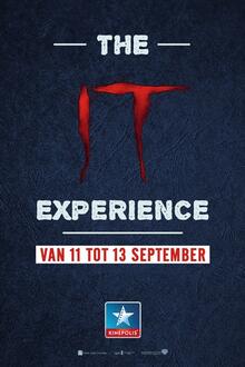 The It Experience