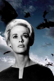THE BIRDS
