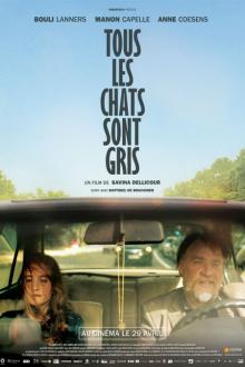 Margritte: Tous les Chats sont gris
