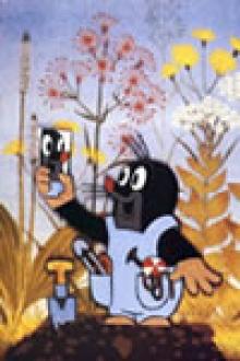 LES AVENTURES DE LA PETITE TAUPE 1 VF