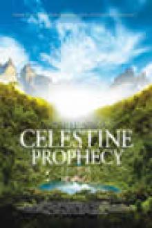THE CELESTINE PROPHECY