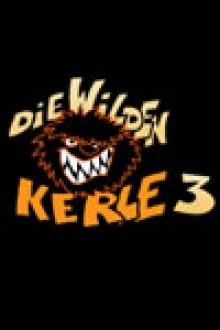 DIE WILDEN KERLE 3