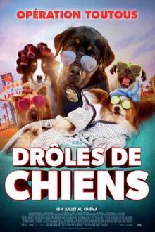 Drôles de Chiens