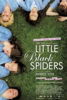 Little Black Spiders