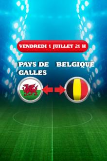 UEFA EURO 2016: 1/4 Finale