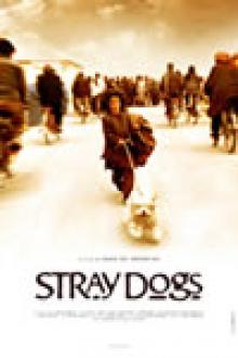 STRAY DOGS