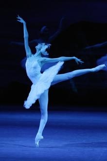Ballet 2020: Swan Lake