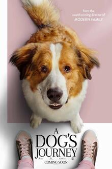 A dog's journey