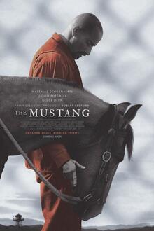 Cinema Storck: The Mustang