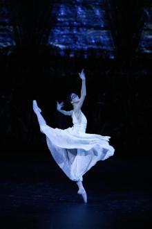 Ballet: Swan Lake