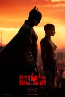 The Batman Night