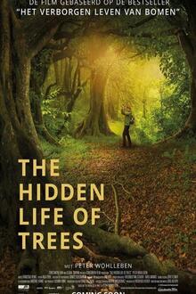 Cinema Storck: The Hidden Life of Trees