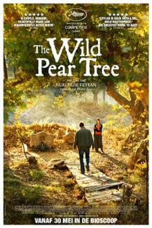 Cinema Storck: The Wild Pear Tree (Ahlat Agaci)