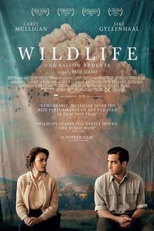 Cinema Storck: Wildlife