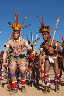 Exploration: Amazonie