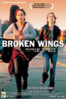 BROKEN WINGS