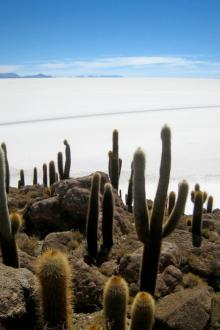 Exploration: Bolivie