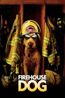 FIREHOUSE DOG