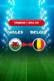 UEFA EURO 2016: 1/4 Finale