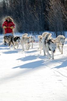 Exploration: Quebec