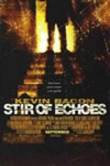 A STIR OF ECHOES