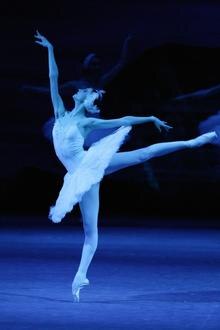 Ballet 2020: Swan Lake