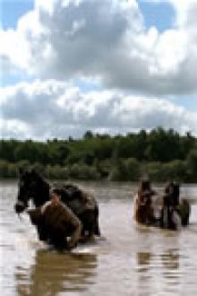 VOLEURS DE CHEVAUX